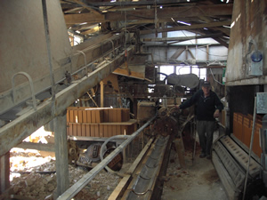 click on image to display video